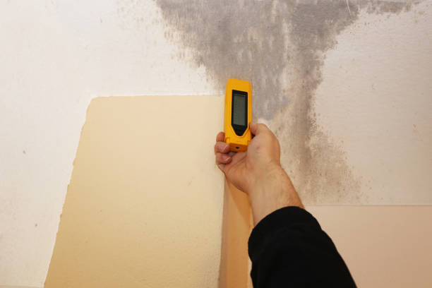 Best Indoor Air Quality Assessment  in The Pinery, CO