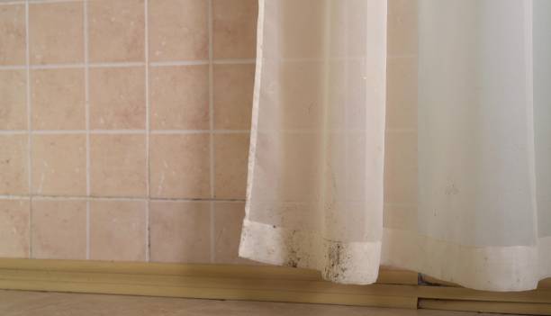 Best Real Estate Mold Inspection  in The Pinery, CO
