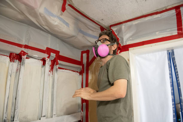 Best Mold Odor Removal Services  in The Pinery, CO