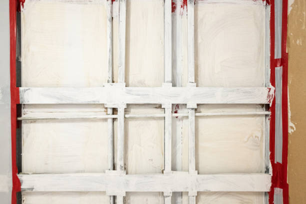 Reliable The Pinery, CO Mold Removal Solutions
