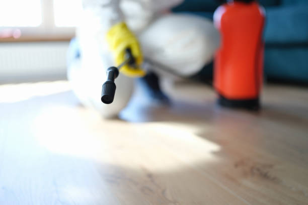Best Mold Documentation for Insurance Claims  in The Pinery, CO