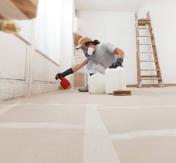 Best Attic Mold Removal  in The Pinery, CO